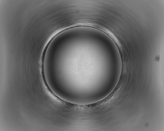 X0000094960955200711291438