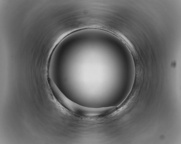 X0000094960956200711291438