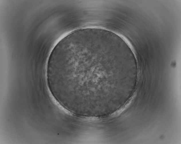 X0000094960957200711291438