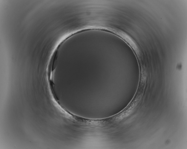 X0000094960958200711291438