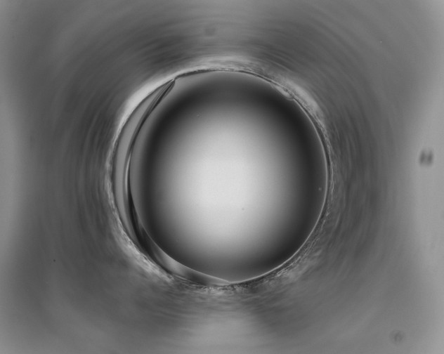 X0000094960960200711291438