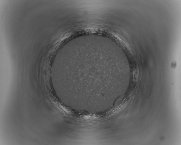 X0000094960961200711291437