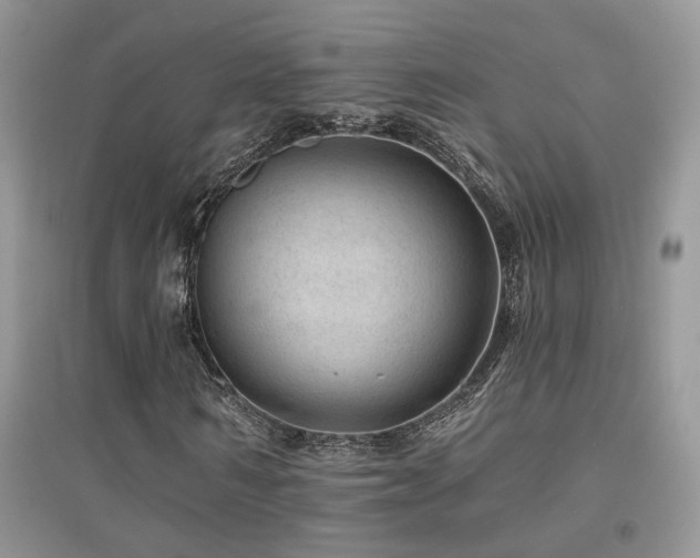 X0000094960962200711291437