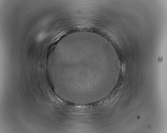 X0000094960963200711291437