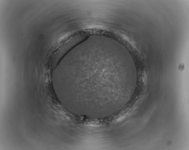 X0000094960965200711291437