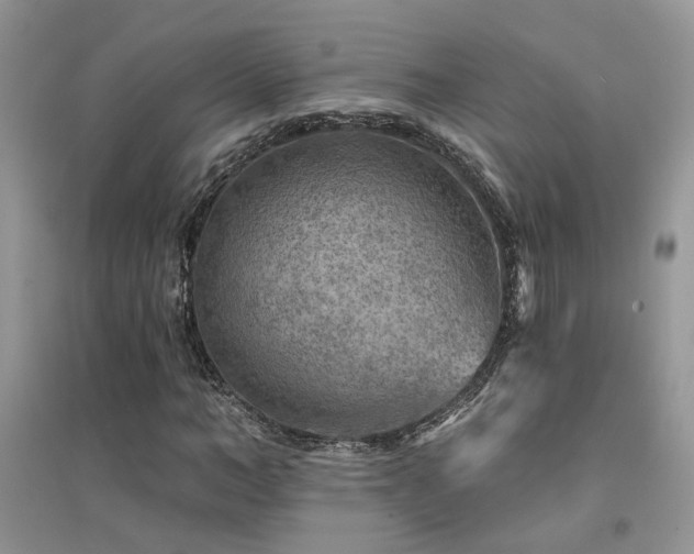 X0000094960966200711291437