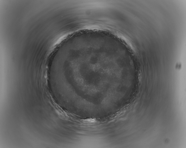 X0000094960968200711291437