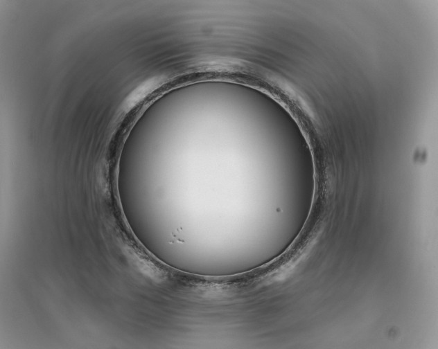 X0000094960970200711291437