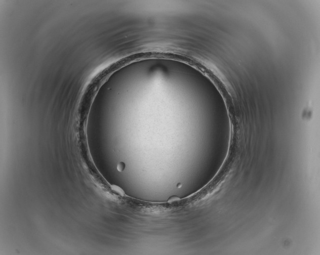 X0000094960971200711291437