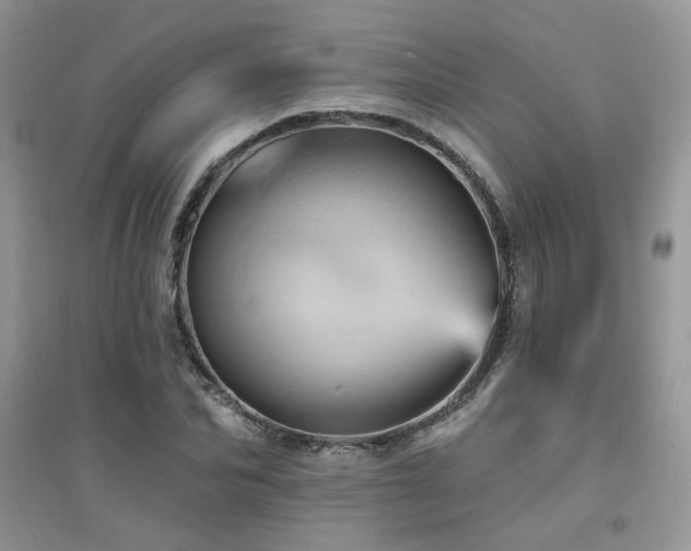 X0000094960974200711291437