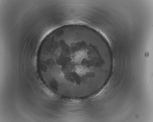 X0000094960975200711291437