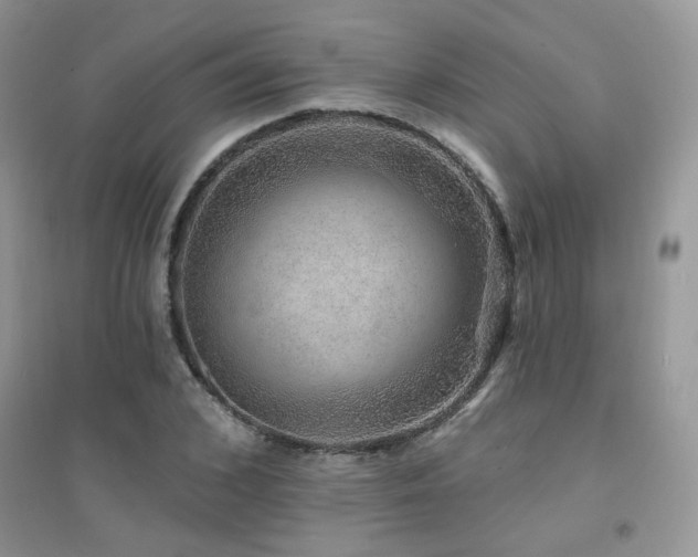 X0000094960976200711291437