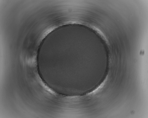 X0000094960977200711291437