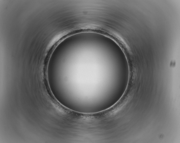 X0000094960978200711291437