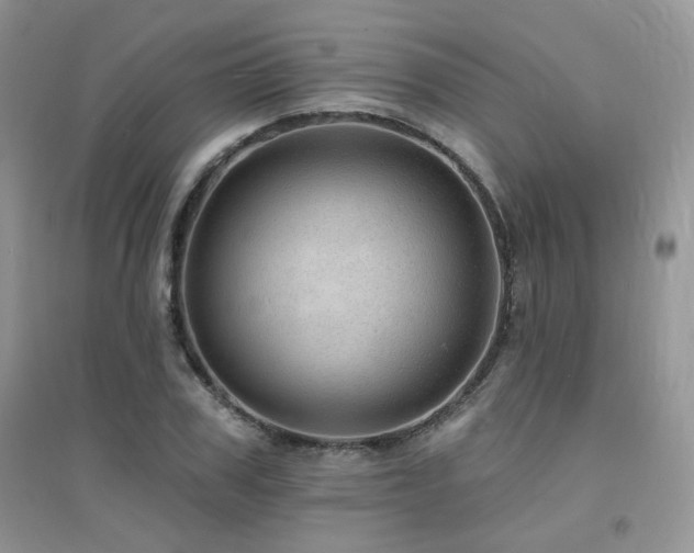 X0000094960979200711291437