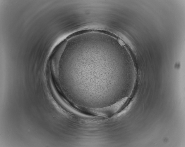 X0000094960981200711291437