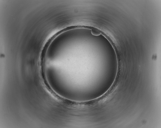 X0000094960982200711291437