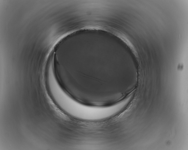 X0000094960984200711291437