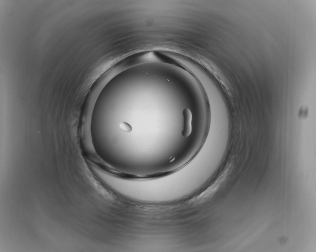 X0000094960985200711291437