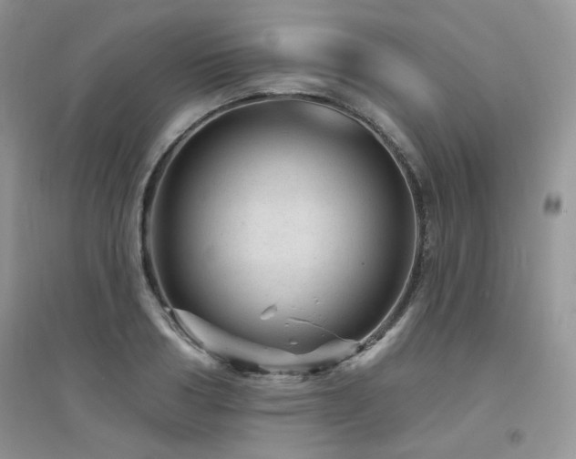 X0000094960986200711291437