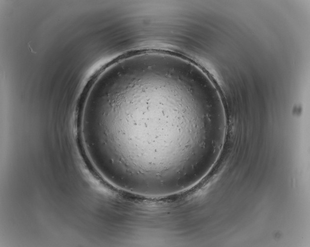 X0000094960987200711291436
