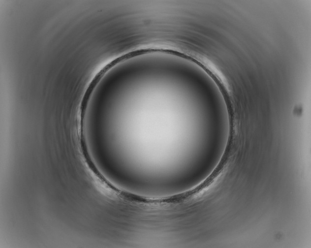 X0000094960988200711291436