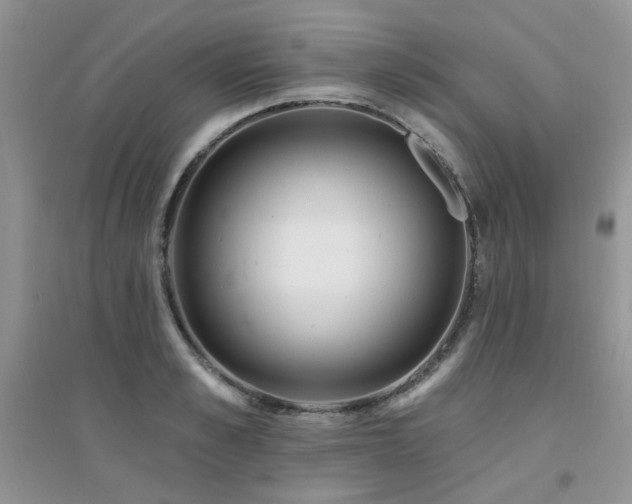 X0000094960989200711291436