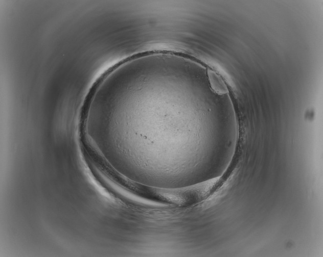 X0000094960991200711291436