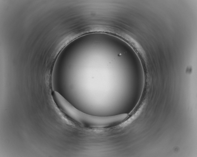 X0000094960993200711291436