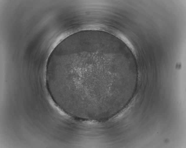 X0000094960994200711291436