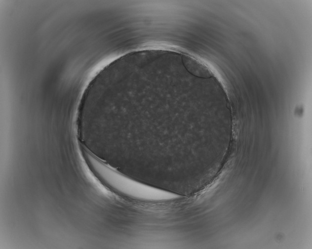 X0000094960995200711291436