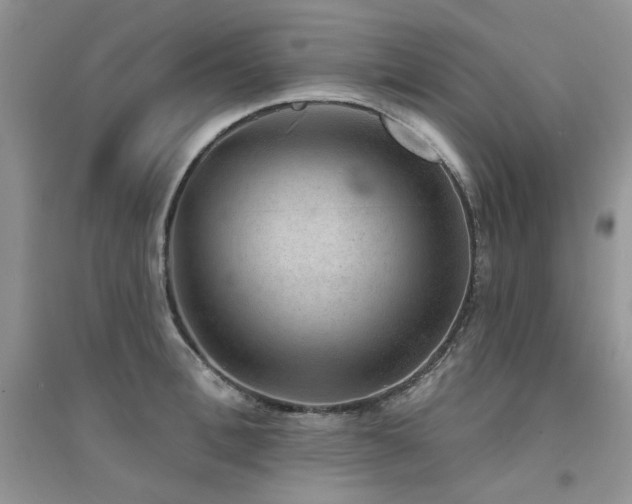 X0000094960996200711291436