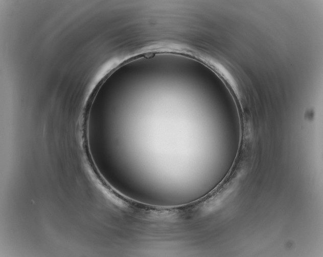 X0000094960997200711291436