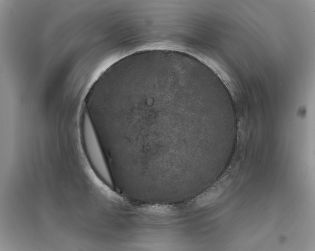X0000094960998200711291436