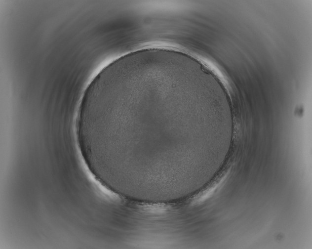 X0000094960999200711291436