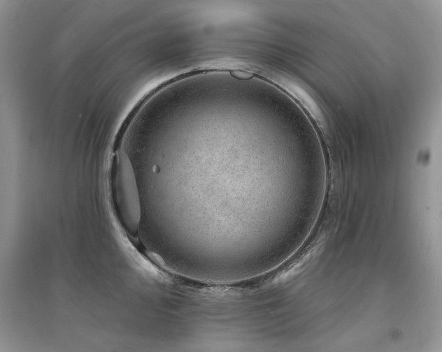 X0000094961000200711291436
