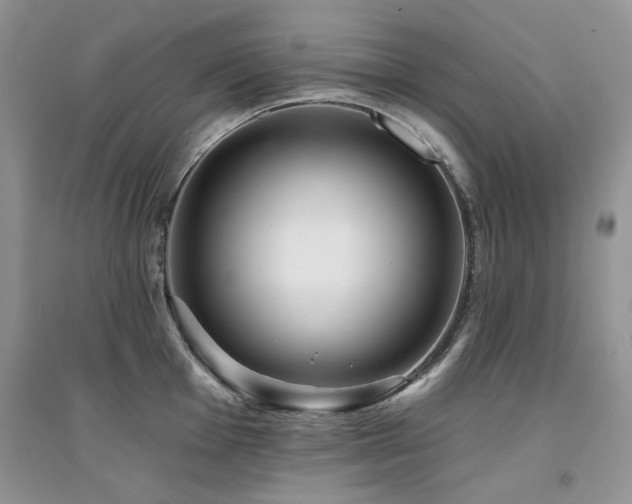 X0000094961001200711291436
