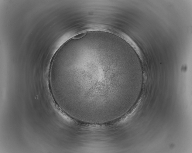 X0000094961002200711291436
