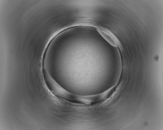 X0000094961004200711291436
