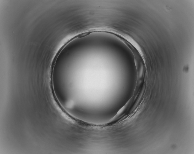 X0000094961005200711291436