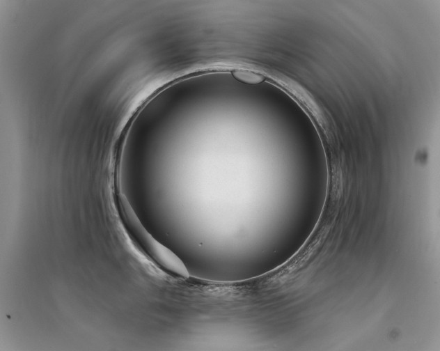 X0000094961006200711291436