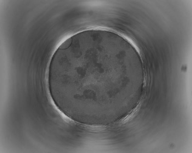 X0000094961007200711291436