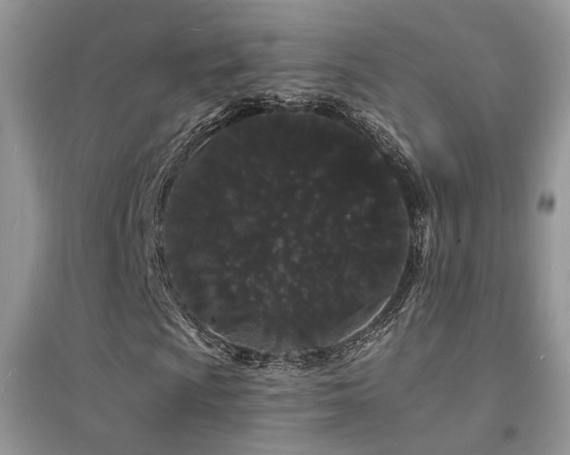 X0000094961009200711291436