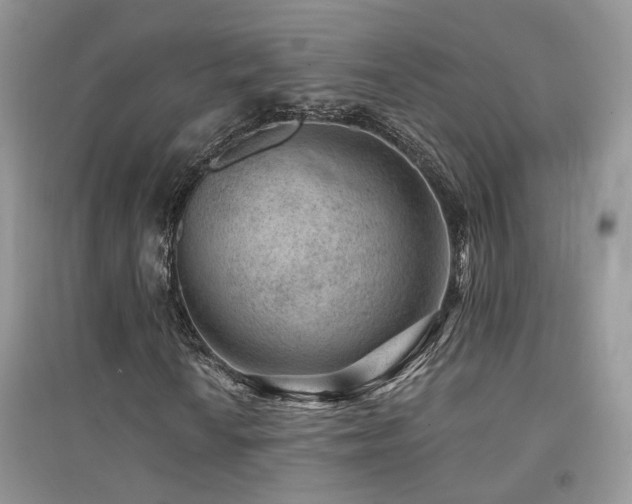X0000094961010200711291436