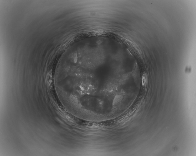 X0000094961011200711291436