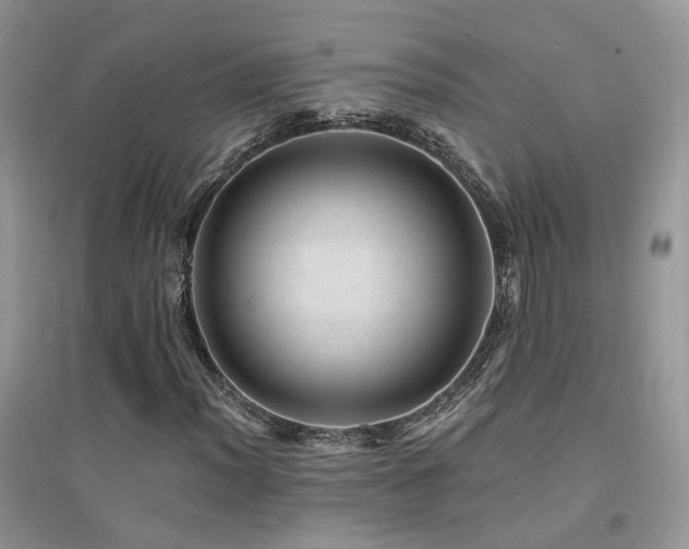 X0000094961012200711291436