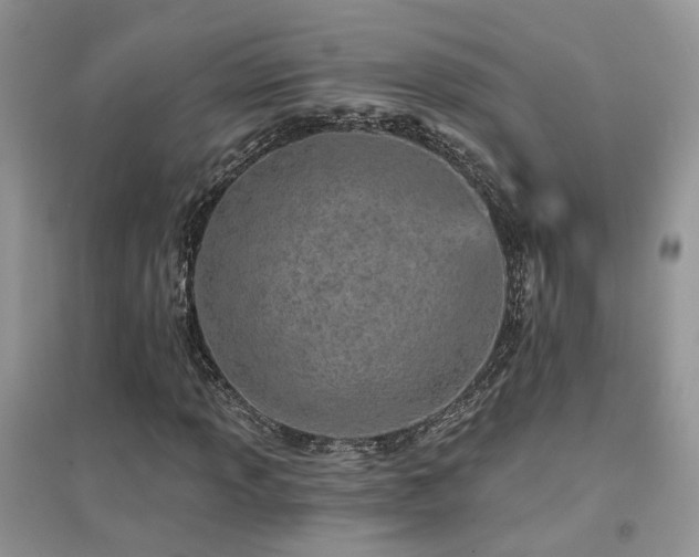 X0000094961013200711291436