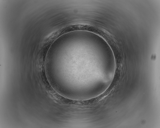 X0000094961014200711291436