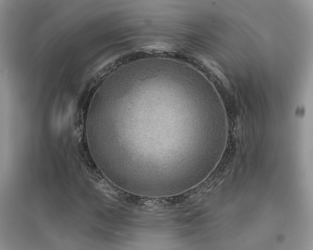 X0000094961015200711291436