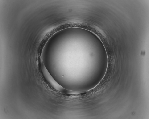 X0000094961016200711291436